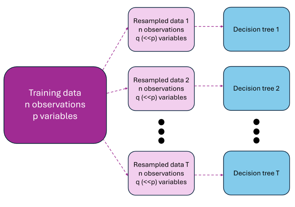 Training of random forests