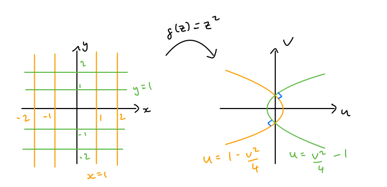 The image of the perpendicular lines x=1, y=1 is a pair of parabolas that cross at right angles.